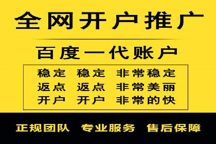 行业领先企业的SEM代理案例剖析